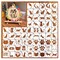Small Stencils for Painting on Wood Reusable, 3 Inch Reusable Stencil for Craft Ornament Paint Template Stencils for Wall Card Rock Wood Signs Coasters Canvas Home Decor (cat)